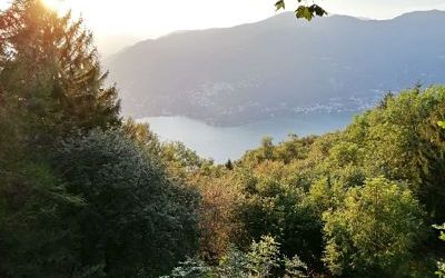 Trieste to Constanta